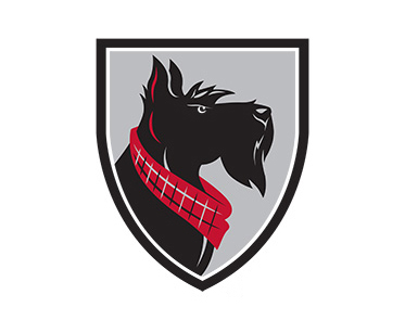 Carnegie Mellon logo